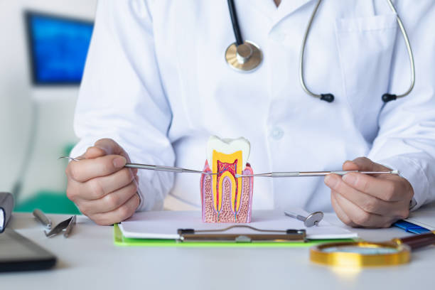 Best Emergency Tooth Extraction in New Chicago, IN